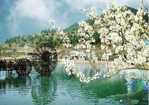 四川廣元蒼溪縣：讓旅游業成為鄉村振興的重要支撐