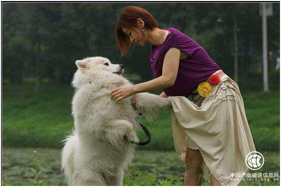 1553238786182051792.png 生育率低4.png