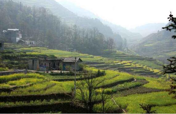 貴州2018年18個貧困縣(市、區)實現脫貧摘帽