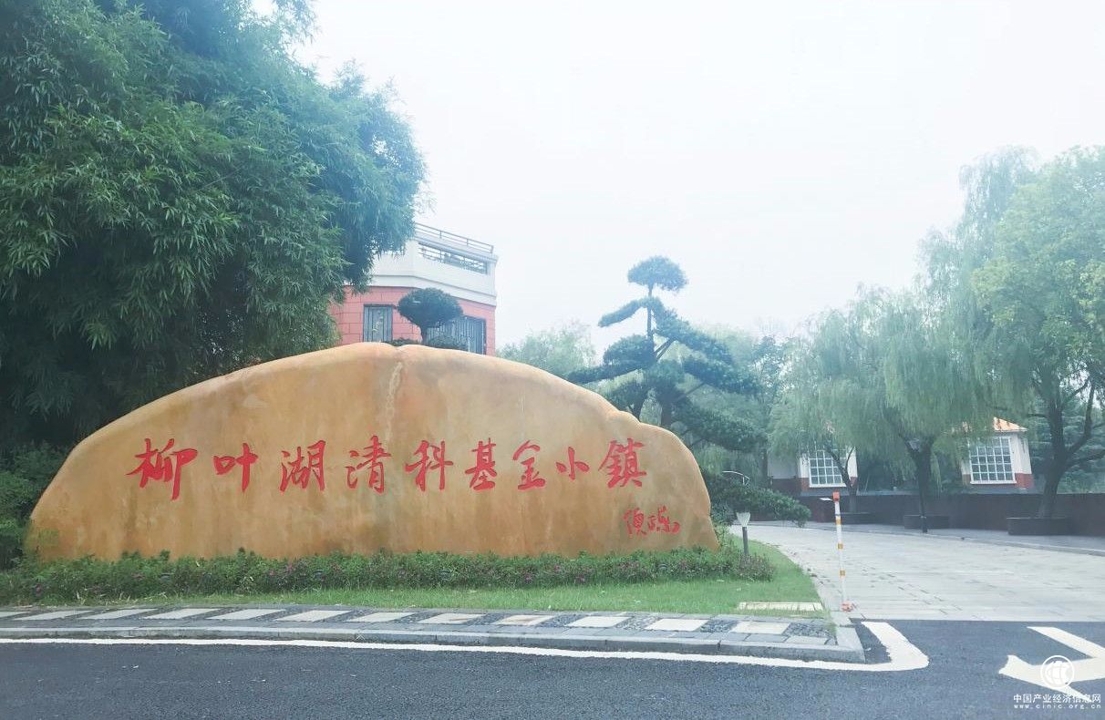 常德柳葉湖清科基金小鎮成立一周年，蓄勢聚能 高質發展