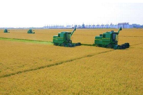 遼寧鞍山八大特色產業撐起現代農業新天地