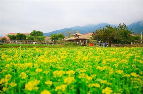 建設生態宜居美麗鄉村是鄉村振興的關鍵