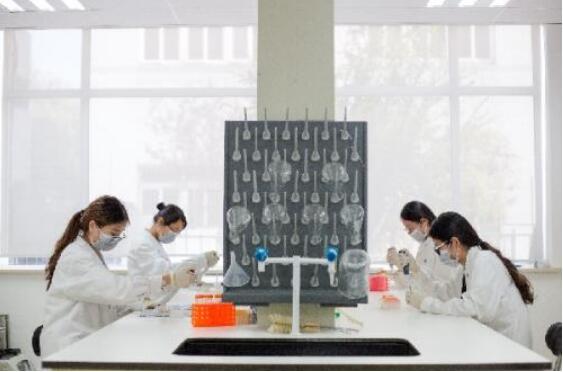 打造高水平的新時代中醫藥人才隊伍——全國中醫藥人才工作會議觀察