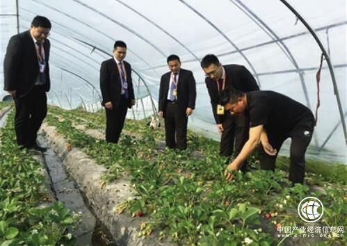 江蘇金融國企創新模式“輸血”“三農”