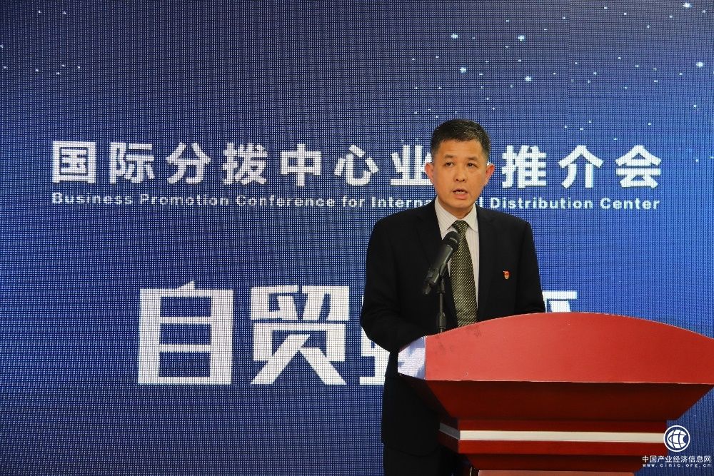 卓志力促南沙發展新舉措
