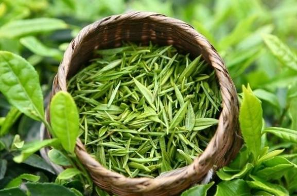 我國茶葉進出口貿易現狀如何