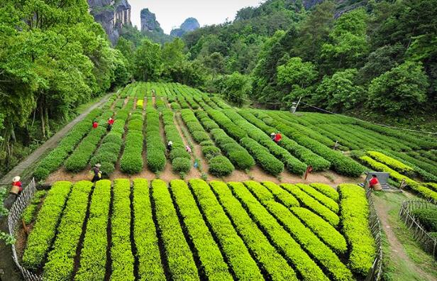 福建福州發布多元化地理標志矩陣