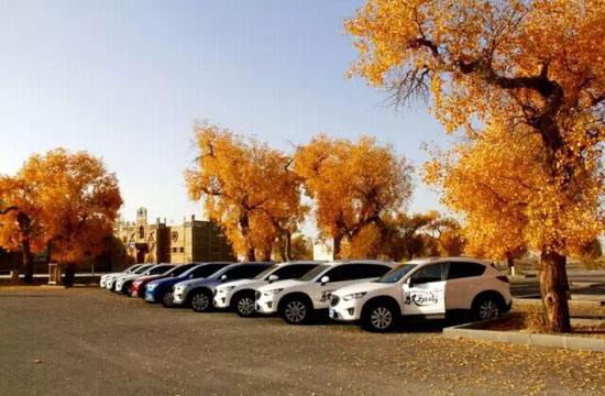 2025年新疆接待游客量創歷史新高