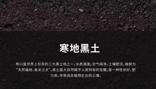 炎帝生物新零售之星火大米：現代農業培育尊享品質