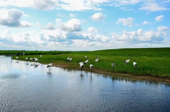齊齊哈爾市全力推動旅游產業高質量發展
