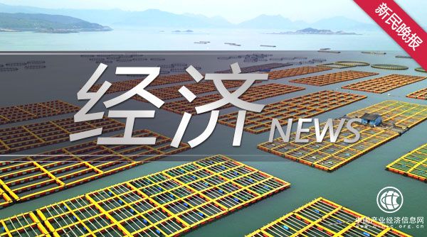 鐘瑋瑋:行走于教育與投資之間的創業者