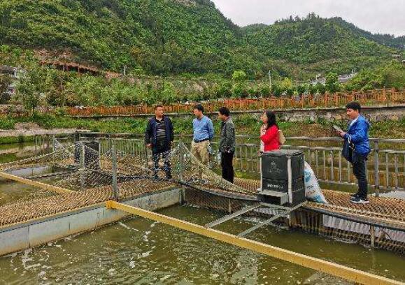 70年，從18.7億元到7195.6億元 四川農林牧漁業總產值增長約383倍