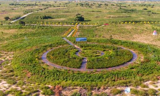 我國沙地沙漠生態修復治理取得顯著成效 從“沙進人退”到“綠進沙退”