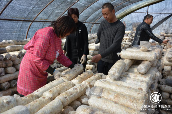 李健：從“獨臂貧困戶”到“全國自強模范”