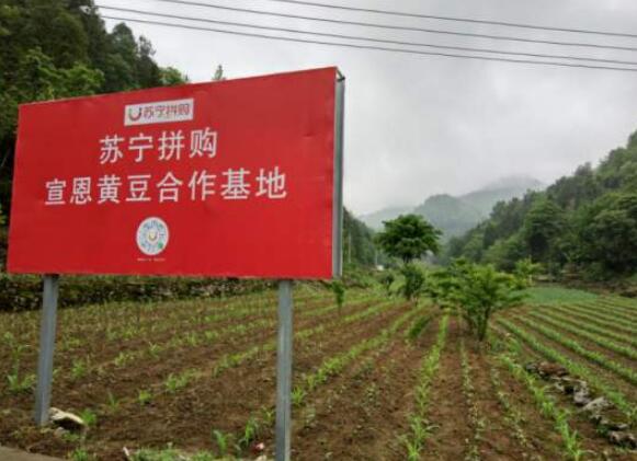 蘇寧拼基地布局成效凸顯 智能供應鏈造就品質拼購