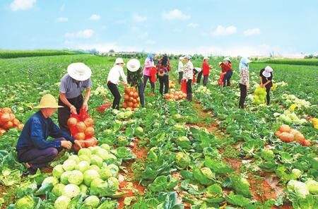 四川：省國資委深入一線調研 產業扶貧如何“扶”出長遠致富路