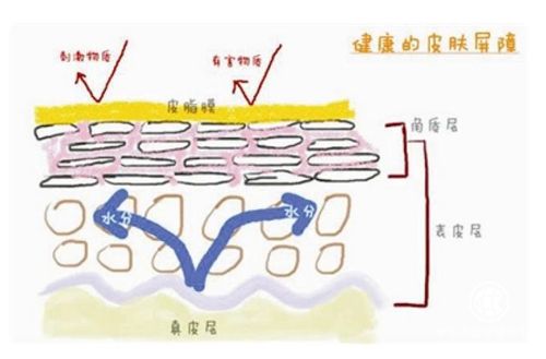 春季皮膚科很熱鬧，患者咨詢皮膚屏障受損怎么修復