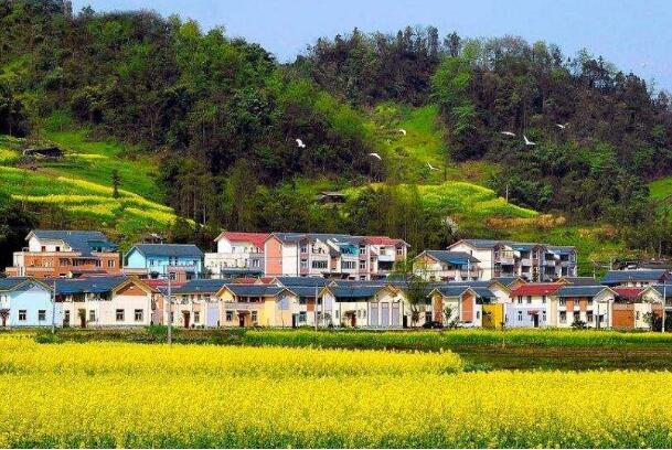 報告顯示：數字經濟正以多種形式助力鄉村振興
