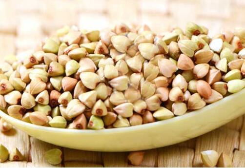 一粒種子里的創新之道