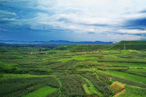 生態環境部：進一步深化生態環境監管服務推動經濟高質量發展