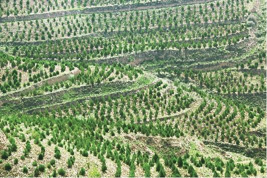 加大資金投入，創新治理模式 內蒙古水土流失面積強度雙下降