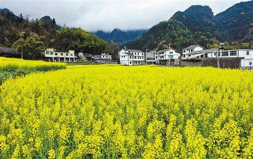 春日旅游紅火 新場景激發消費新活力