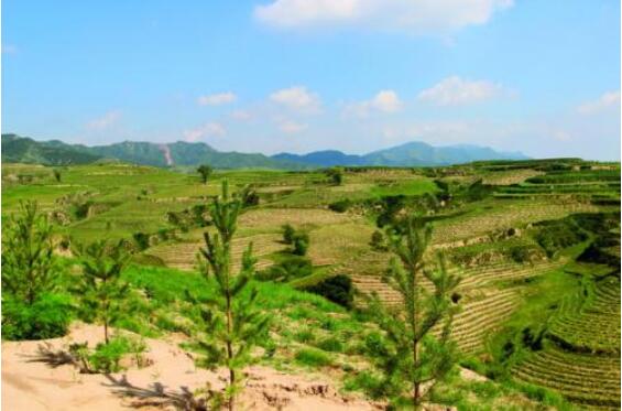 山西，生態扶貧興大計謀長遠