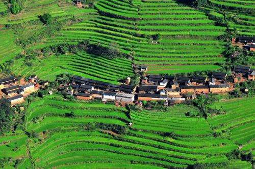 云南楚雄市產業扶貧提升可持續發展能力