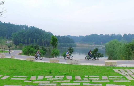 農業農村部：五大措施推進構建現代鄉村產業體系