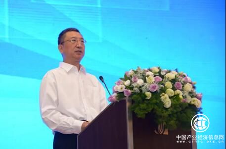 王新哲：電子信息產業已經成為國際競爭的制高點