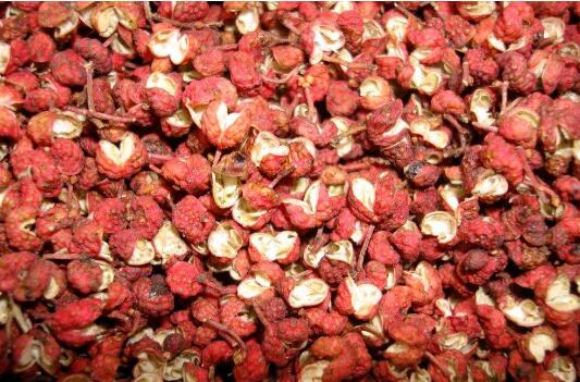 標準引領品質提升，重慶江津花椒跑出“出海”加速度