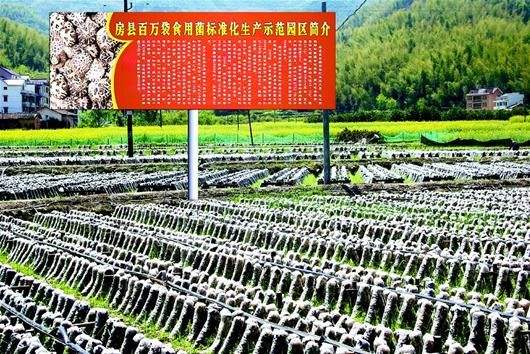 湖北創建33個特色農產品優勢區
