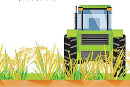 上半年農民收入增6.6% 農業農村經濟穩中向好