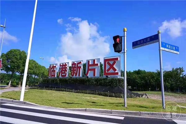 臨港新片區“50條支持政策”發布