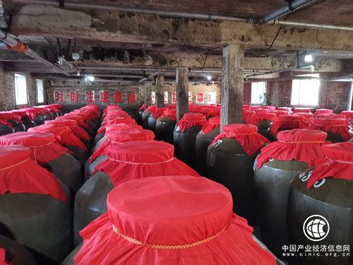 “壯麗70年 振興看鶴城”：富裕老窖酒業實現產業多元立體發展