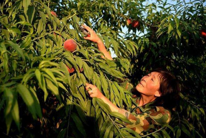 全國東西部協作和中央單位定點幫扶工作推進會在青海省西寧市召開