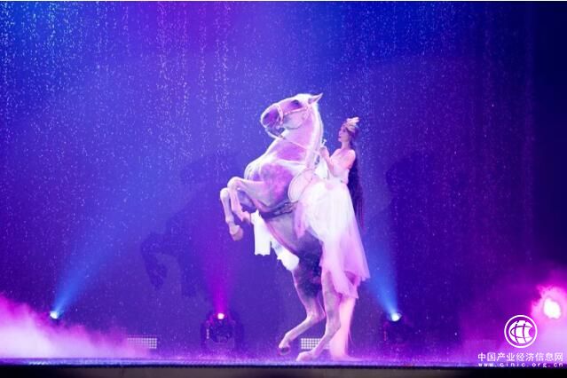 國際大型馬術表演——德瑞馬秀登陸青島，一段馬背上的藝術之旅