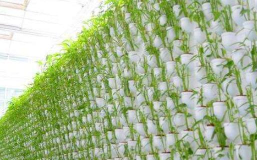 甘肅省酒泉市成為全國最大的戈壁生態農業示范區