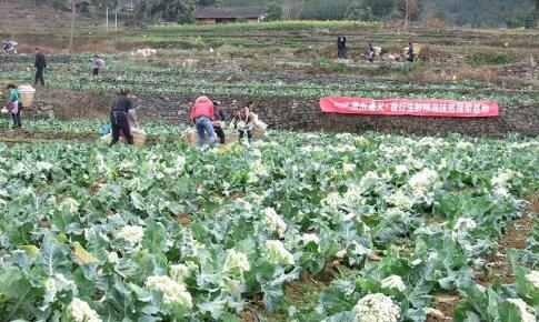 貴州遵義：聚力助推脫貧攻堅，投入資金突破億元