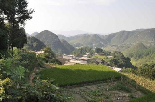 貴州凱里下司鎮：加快產業結構調整 確保今年全部脫貧