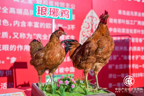 慶祝豐收、弘揚文化、振興鄉村 2019年瑯琊鎮中國農民豐收節開啟