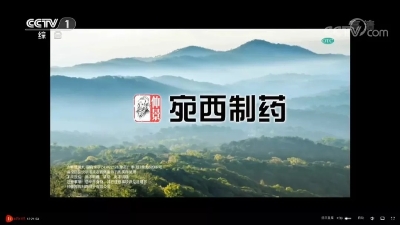 仲景牌六味地黃丸，始終堅守在央視一套新聞欄目的地黃丸