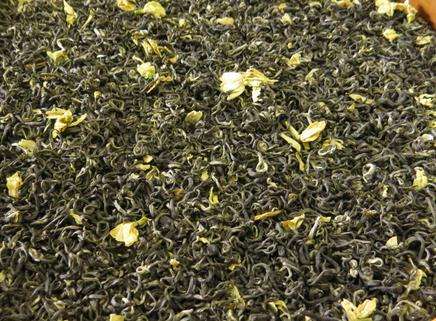 生產端、加工端、品牌端齊發力　提升茉莉花茶出口特色優勢