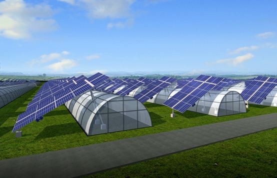 甘肅去年累計下達生態環境專項資金34.37億元