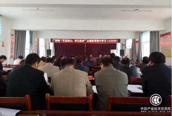 河南省方城縣廣陽鎮開展“不忘初心、牢記使命”主題教育學習