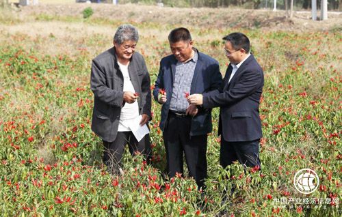 江蘇灌云：扶貧產品助推崗東模式