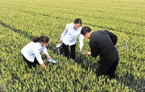 陜西省加強農業技術攻關助力鄉村振興