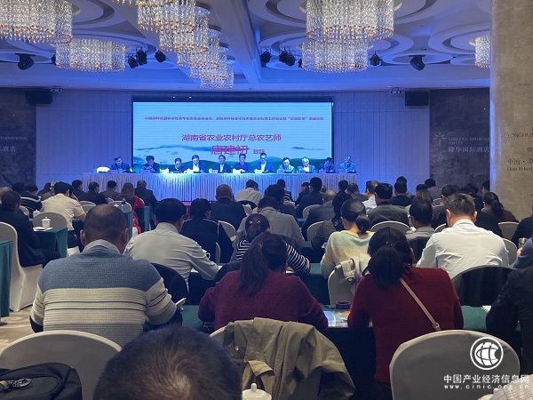 湖南傾力打造紅茶產業助推地方經濟發展