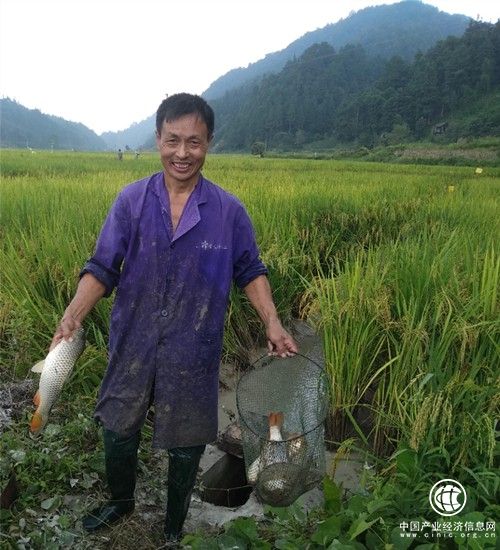 生態漁業帶動貴州萬農戶增收
