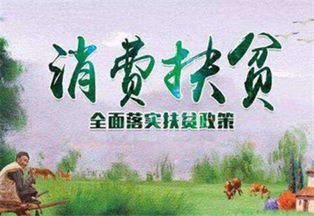 江蘇探索10種模式消費扶貧 精準推動產業扶貧